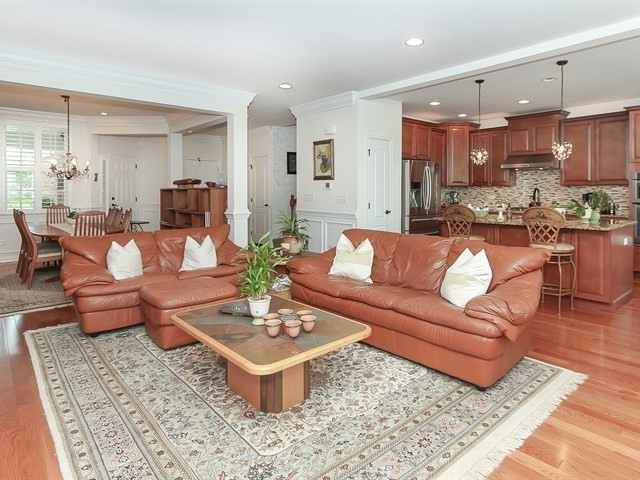1253 Falcon Ridge Drive Elgin, IL 60124 - Photo 6 of 22