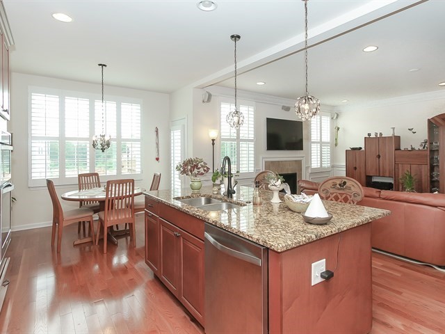 1253 Falcon Ridge Drive Elgin, IL 60124 - Photo 9 of 22
