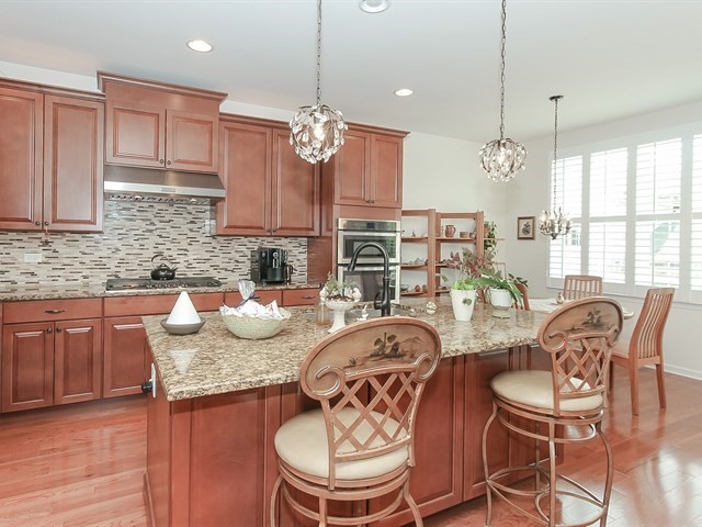 1253 Falcon Ridge Drive Elgin, IL 60124 - Photo 10 of 22