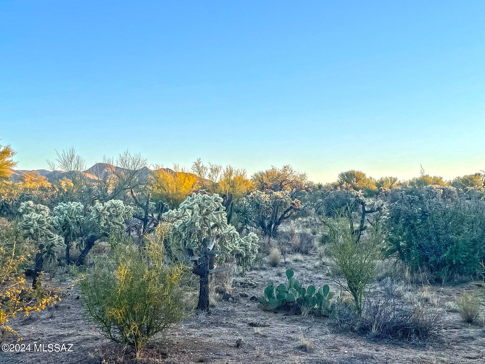 13411 South Sierrita Mountain Road, Unit 497 Tucson, AZ 85736 - Photo 3 of 8