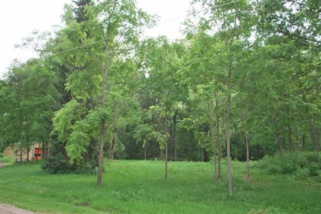 10565 Fleming Road Dexter, MI 48130 - Photo 8 of 8 Photo 9