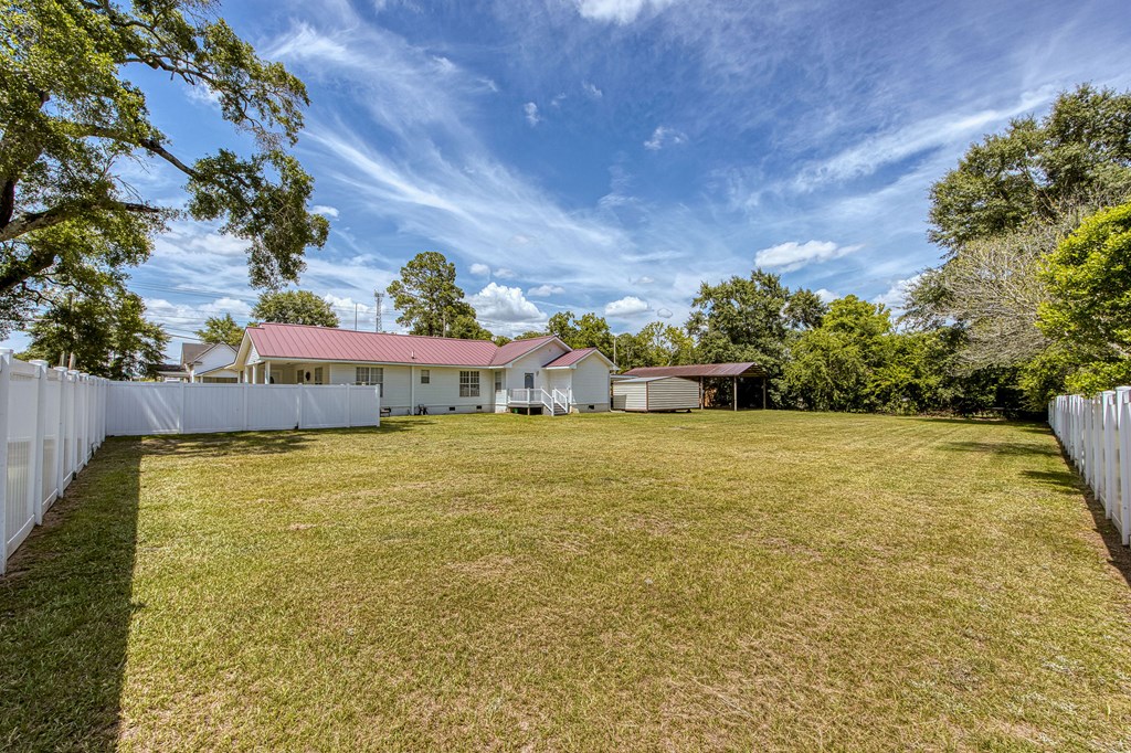 101 South Johnson Street Samson, AL 36477 - Photo 4 of 53