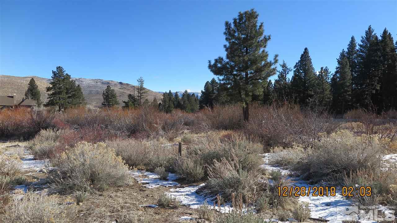 926 De Chardin Lane Reno, NV 89511 - Photo 11 of 24 a view of a covered with trees
