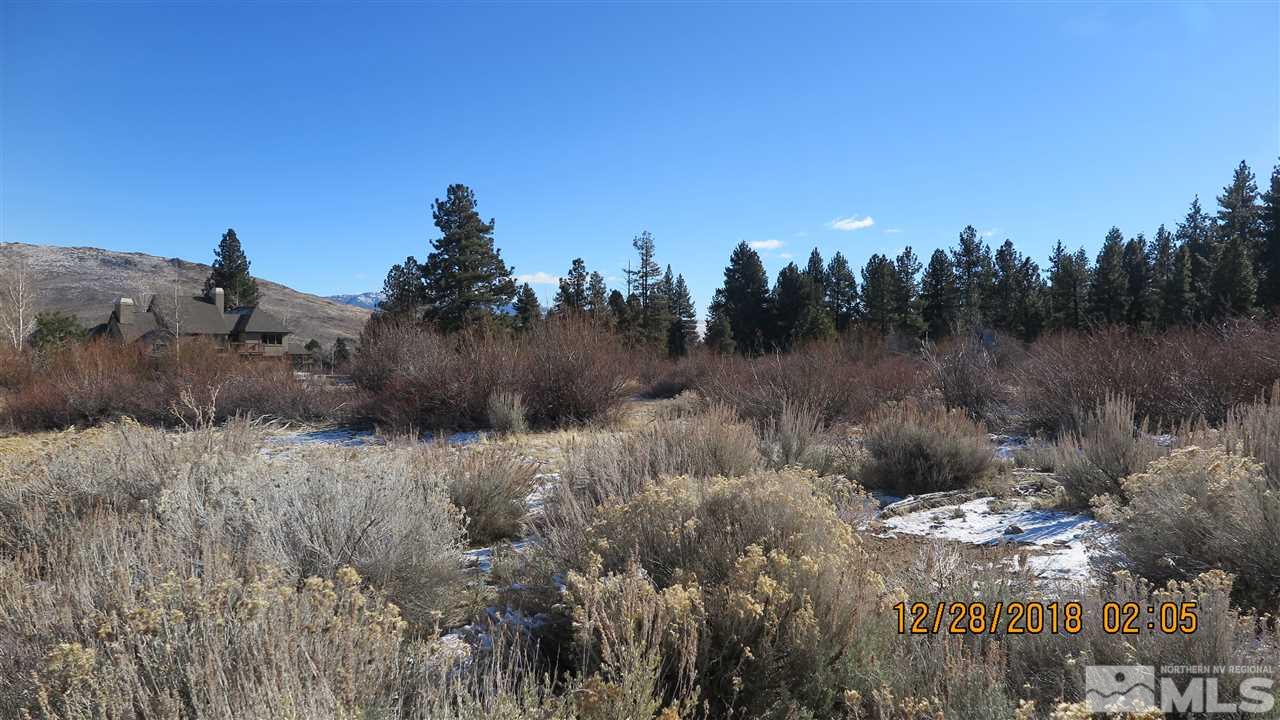 926 De Chardin Lane Reno, NV 89511 - Photo 13 of 24 a view of a dry yard with trees