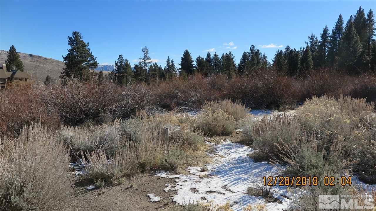 926 De Chardin Lane Reno, NV 89511 - Photo 9 of 24 a view of a dry yard with trees