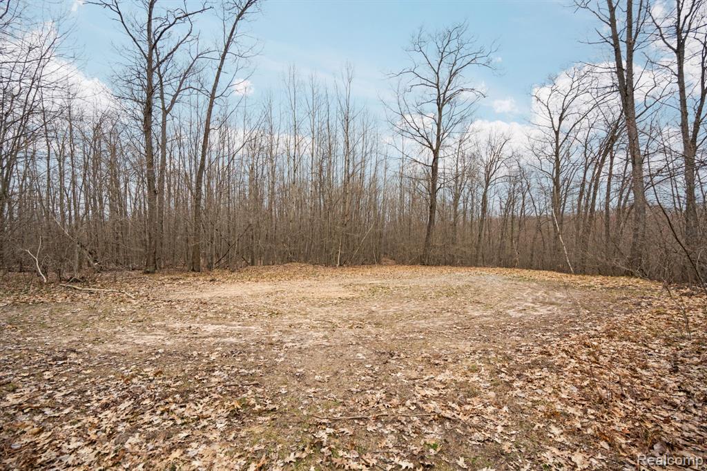 0 North Fairview Road West Branch, MI 48661 - Photo 11 of 14