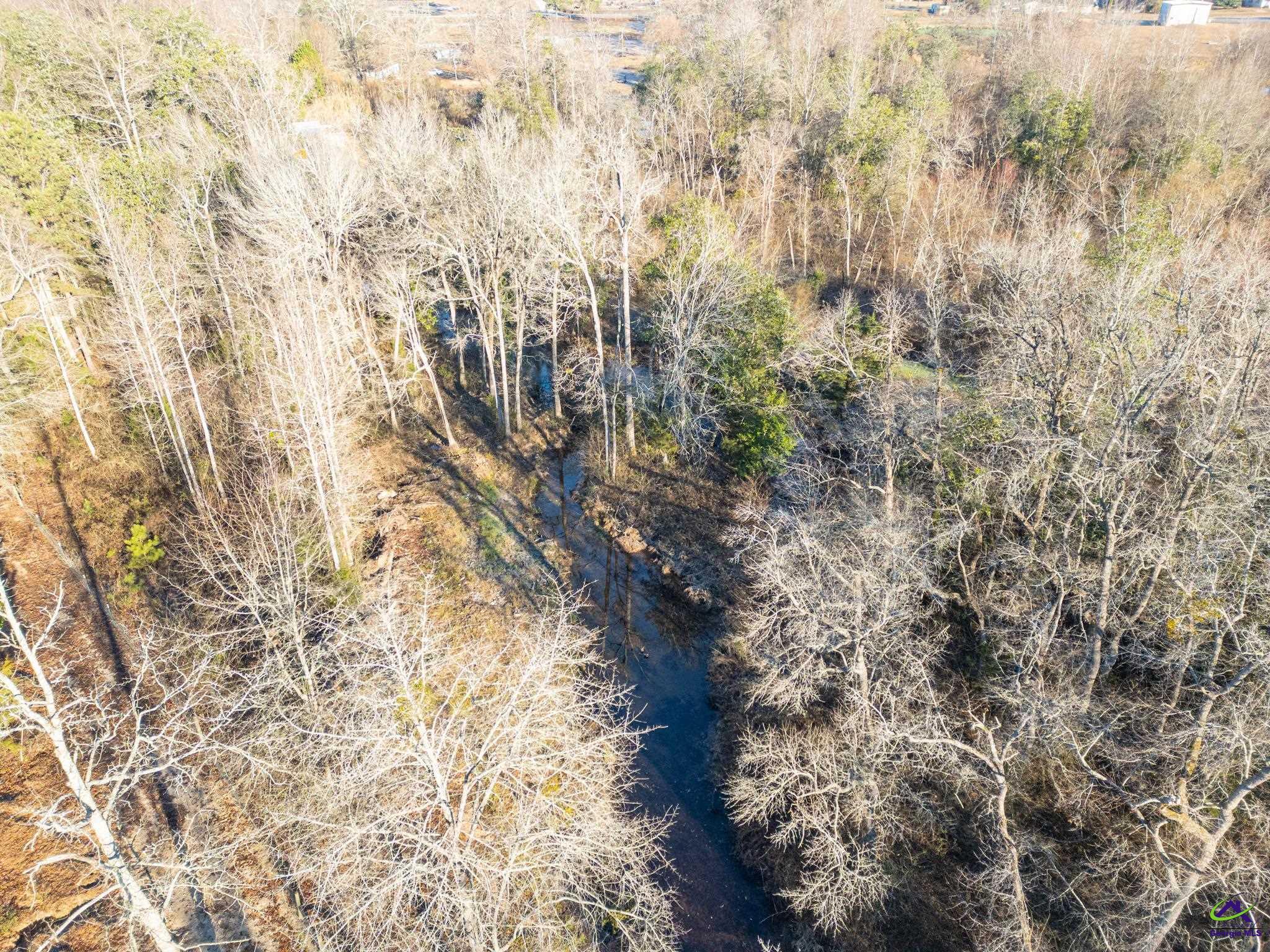 1092 Tommy Purvis Road Reynolds, GA 31076 - Photo 63 of 77
