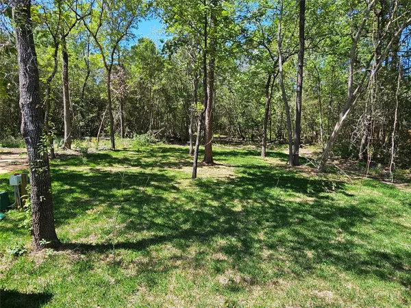 a view of a park with a tree