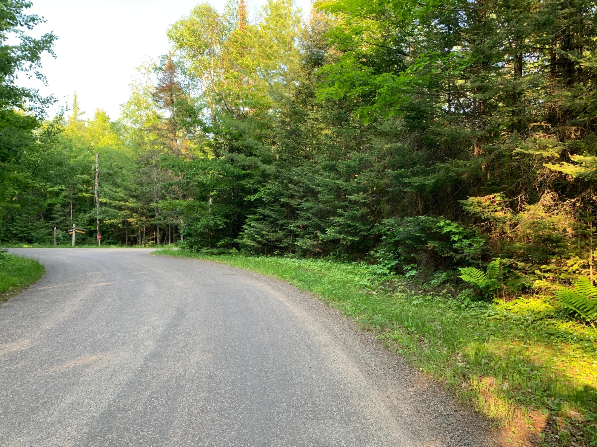 Lot 22 Deer Trail Road Manitowish Waters, WI 54545 - Photo 1 of 9