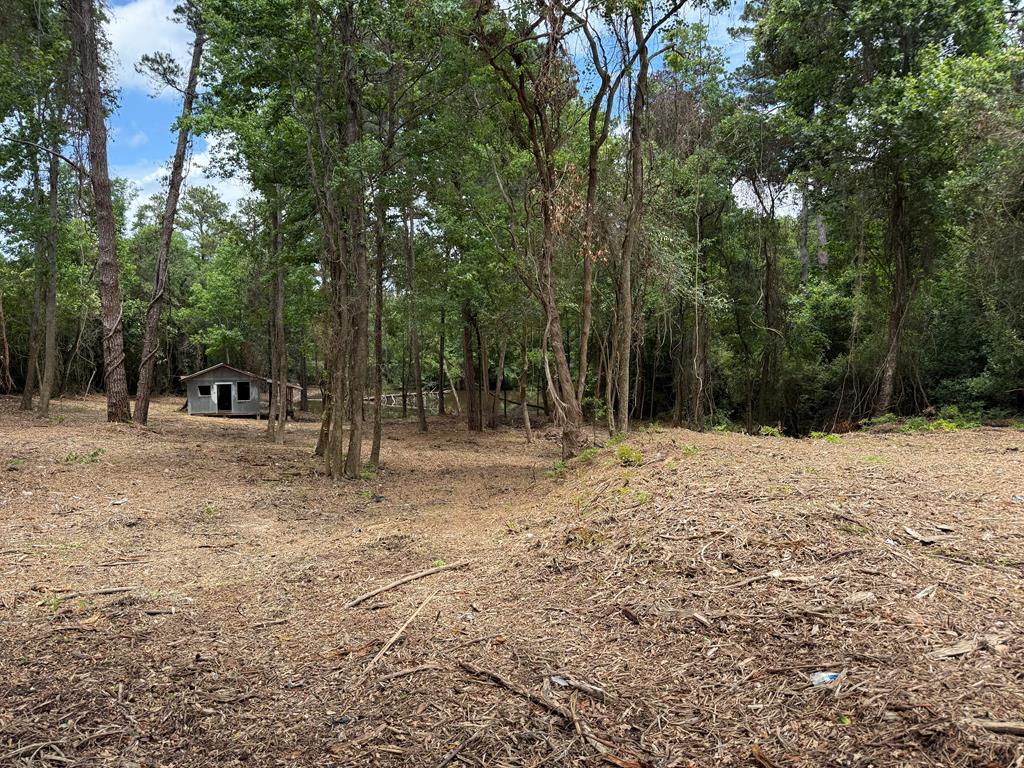 4935 Buena Vista Road Columbus, GA 31907 - Photo 8 of 24 a view of outdoor space with trees