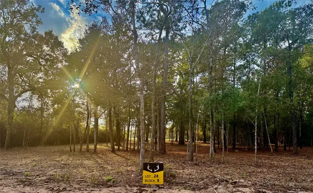 $134,900 | 130 Whitetail Drive, Coldspring, TX 77331