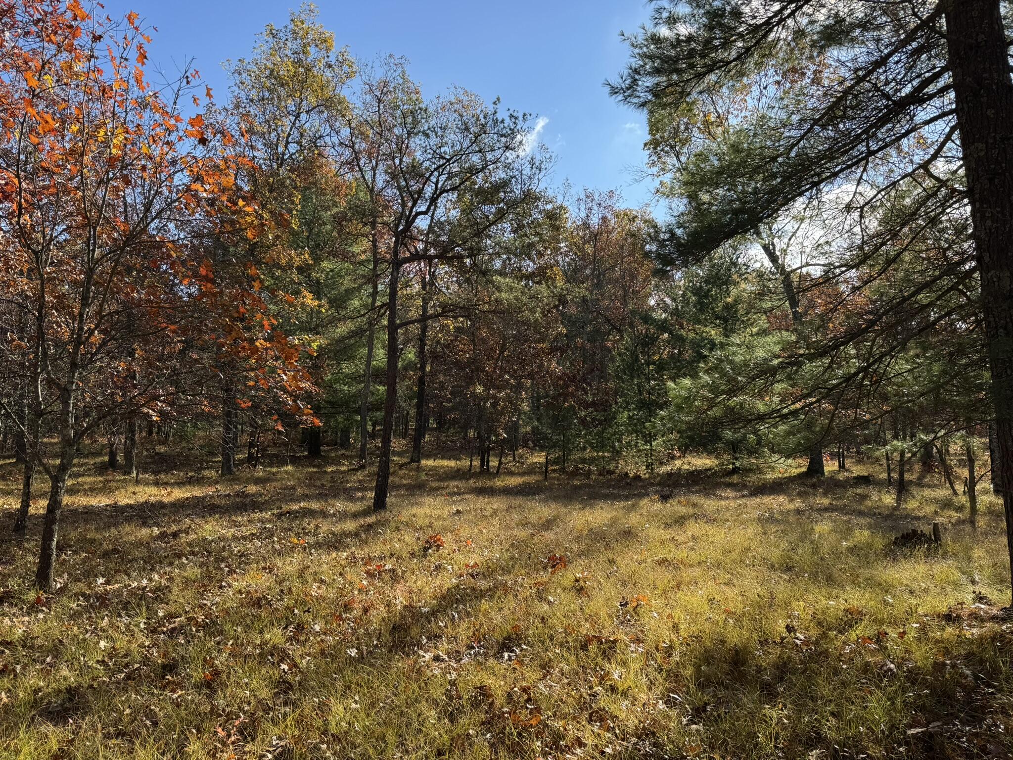 8 County Line Road Manistee, MI 49660 - Photo 4 of 6 IMG_1396