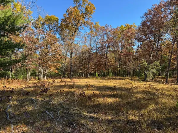 $44,500 | 8 County Line Road, Manistee, MI 49660