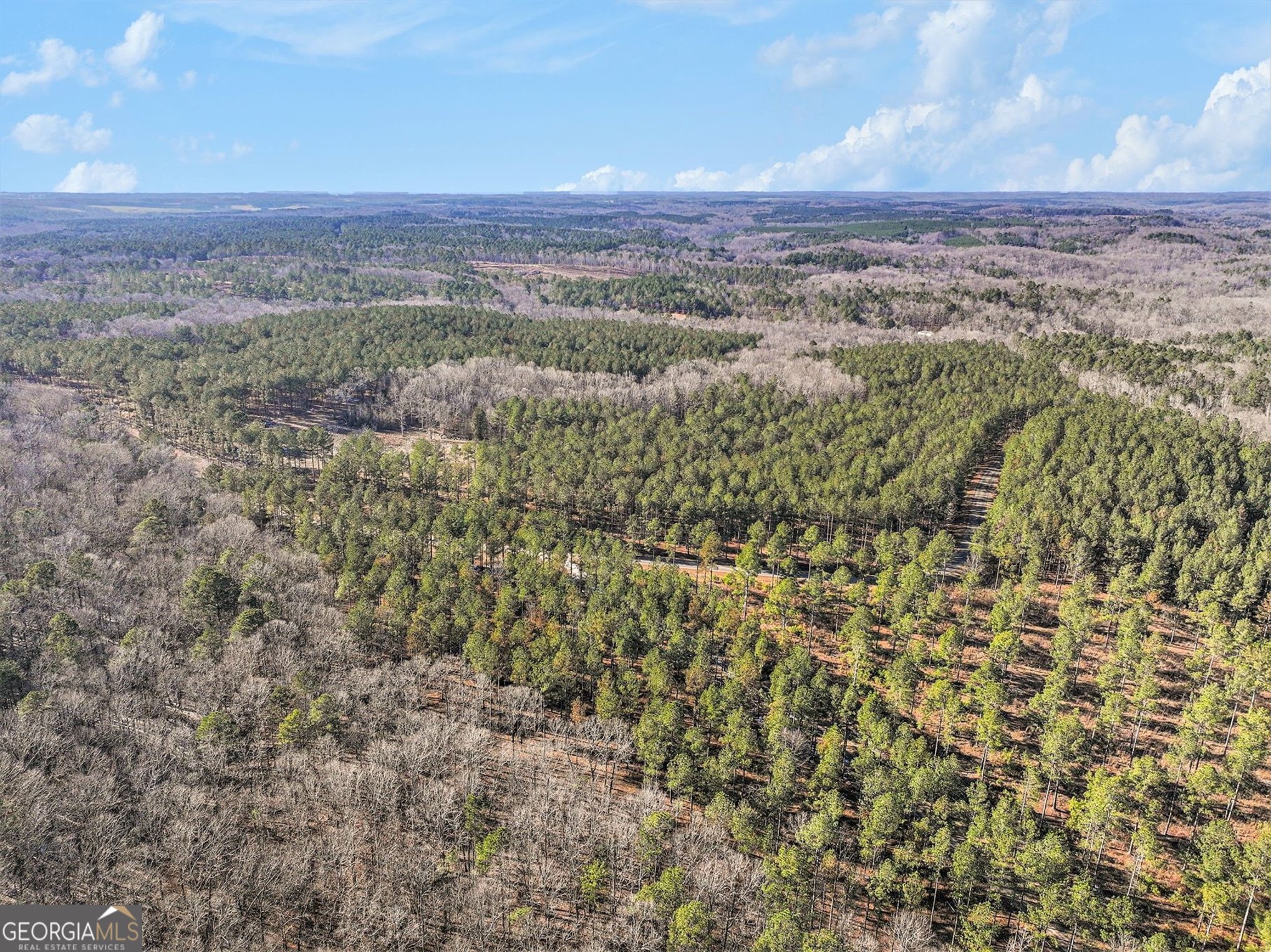 2285 Cherokee Road Comer, GA 30629 - Photo 29 of 33