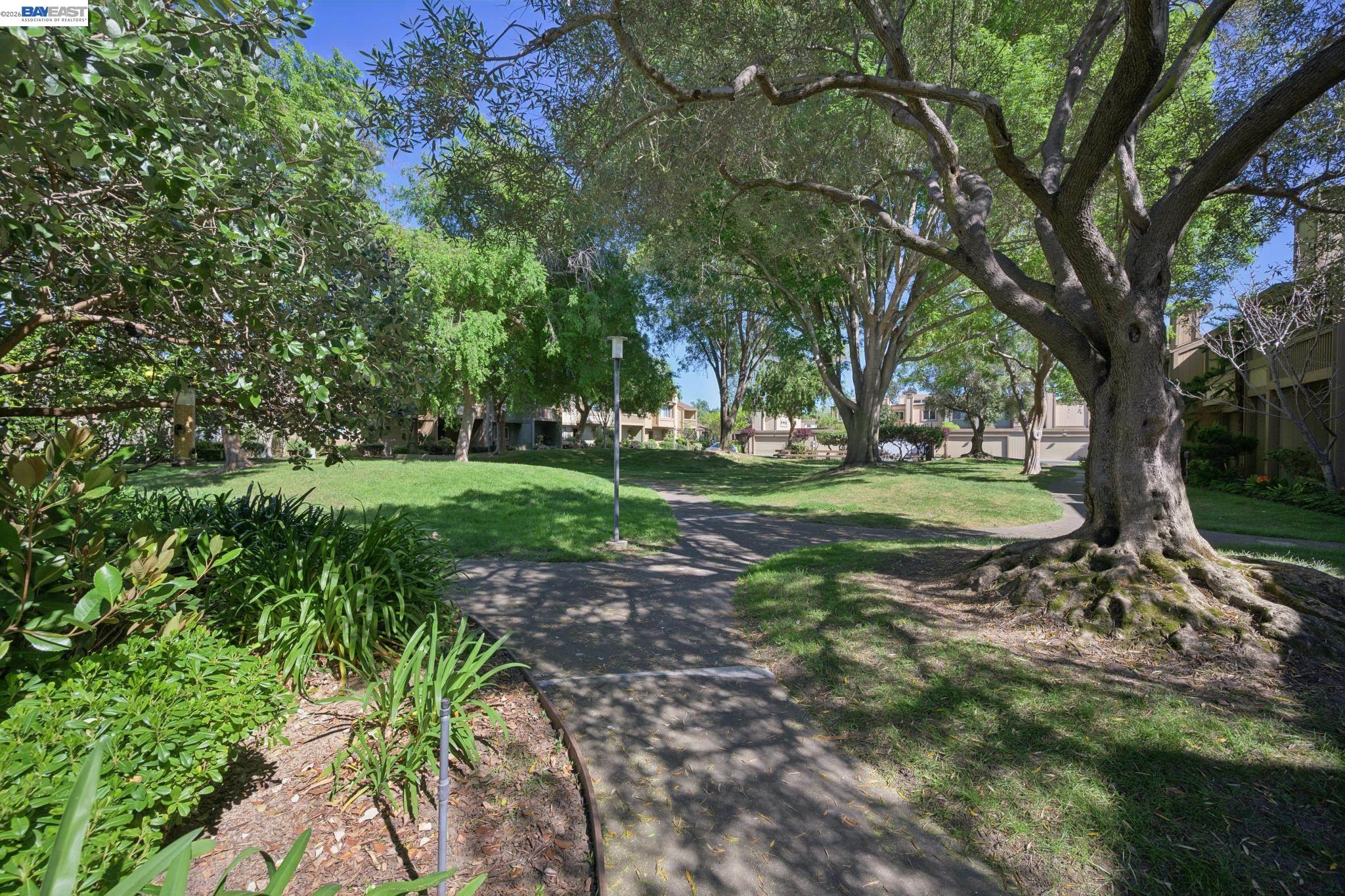 3201 Phoenix Lane Alameda, CA 94502 - Photo 41 of 58 a view of a park with large trees
