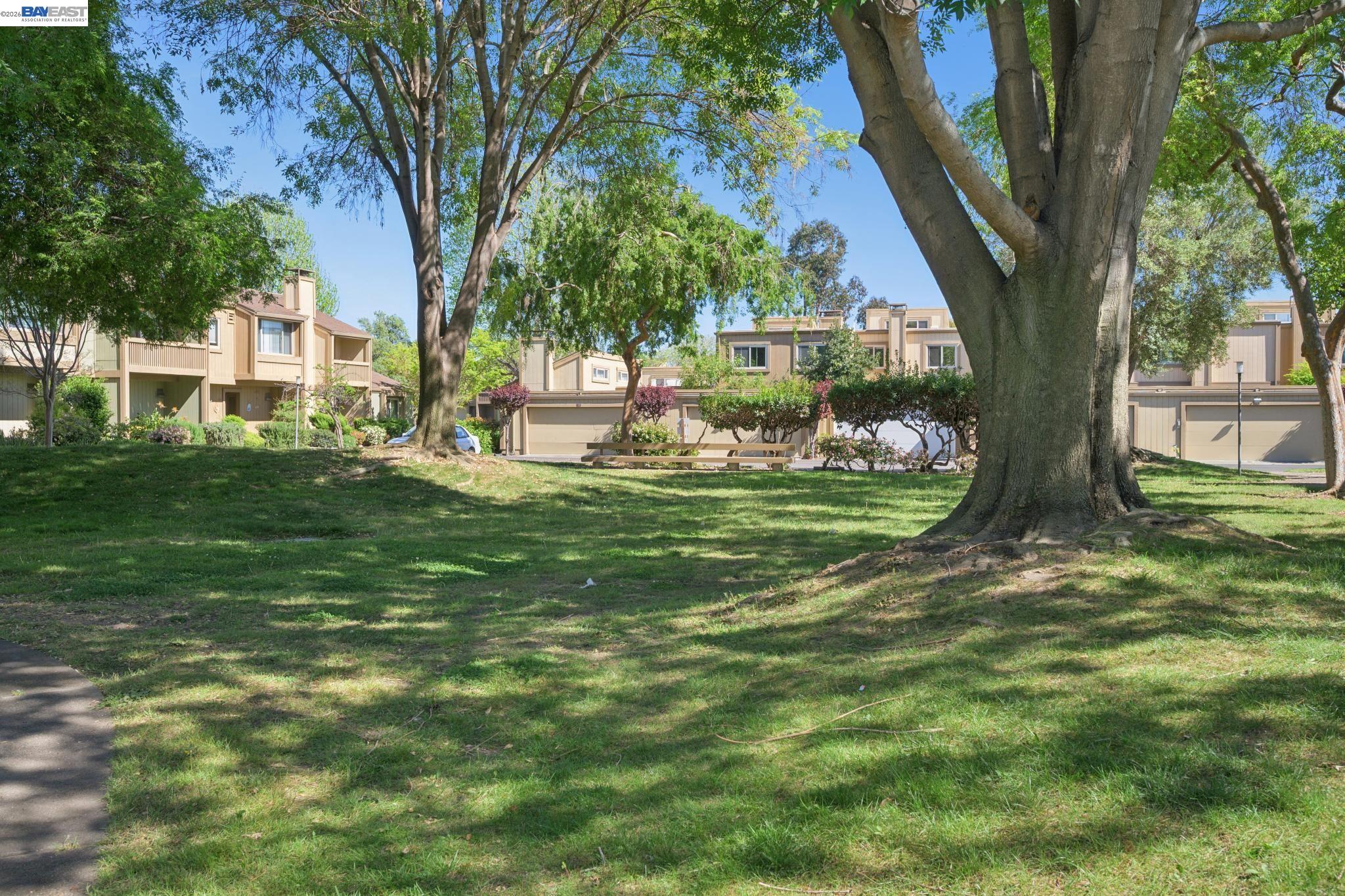 3201 Phoenix Lane Alameda, CA 94502 - Photo 43 of 58 a view of a tree in front of a house with a big yard