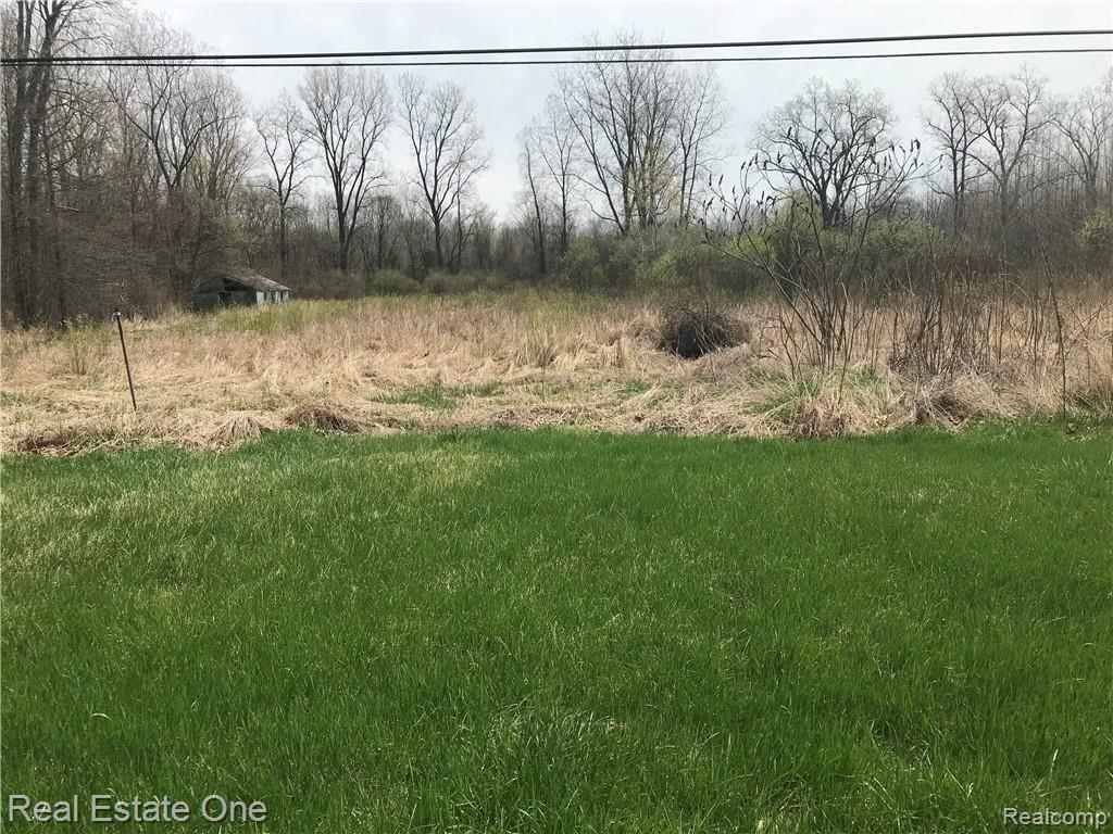 26101 Karr Road Belleville, MI 48111 - Photo 3 of 21 AA45E482-4C6B-4C6A-8C04-615C176E9059.jpeg