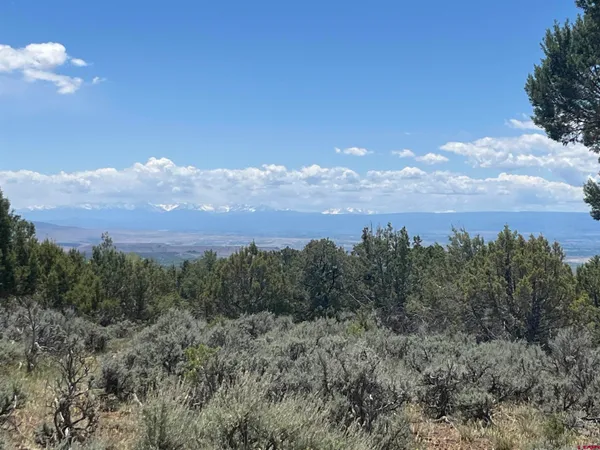 $185,000 | Tbd Green Valley Road, Cedaredge, CO 81413