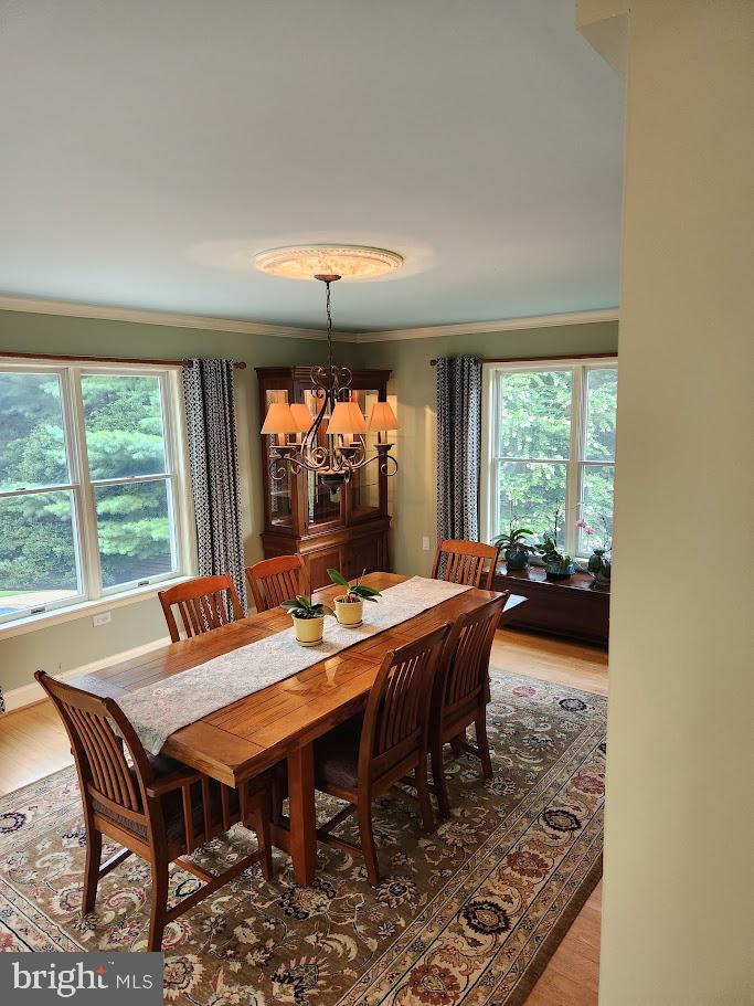 13364 Hunt Ridge Road Ellicott City, MD 21042 - Photo 8 of 47 Gallery Image 8