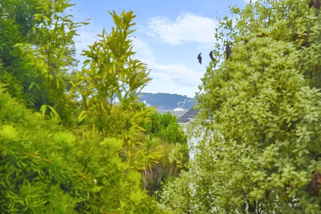 $3,990 | 1925 Leavenworth Street, San Francisco, CA 94133