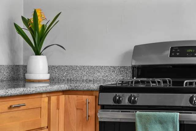 $3,990 | 1925 Leavenworth Street, San Francisco, CA 94133