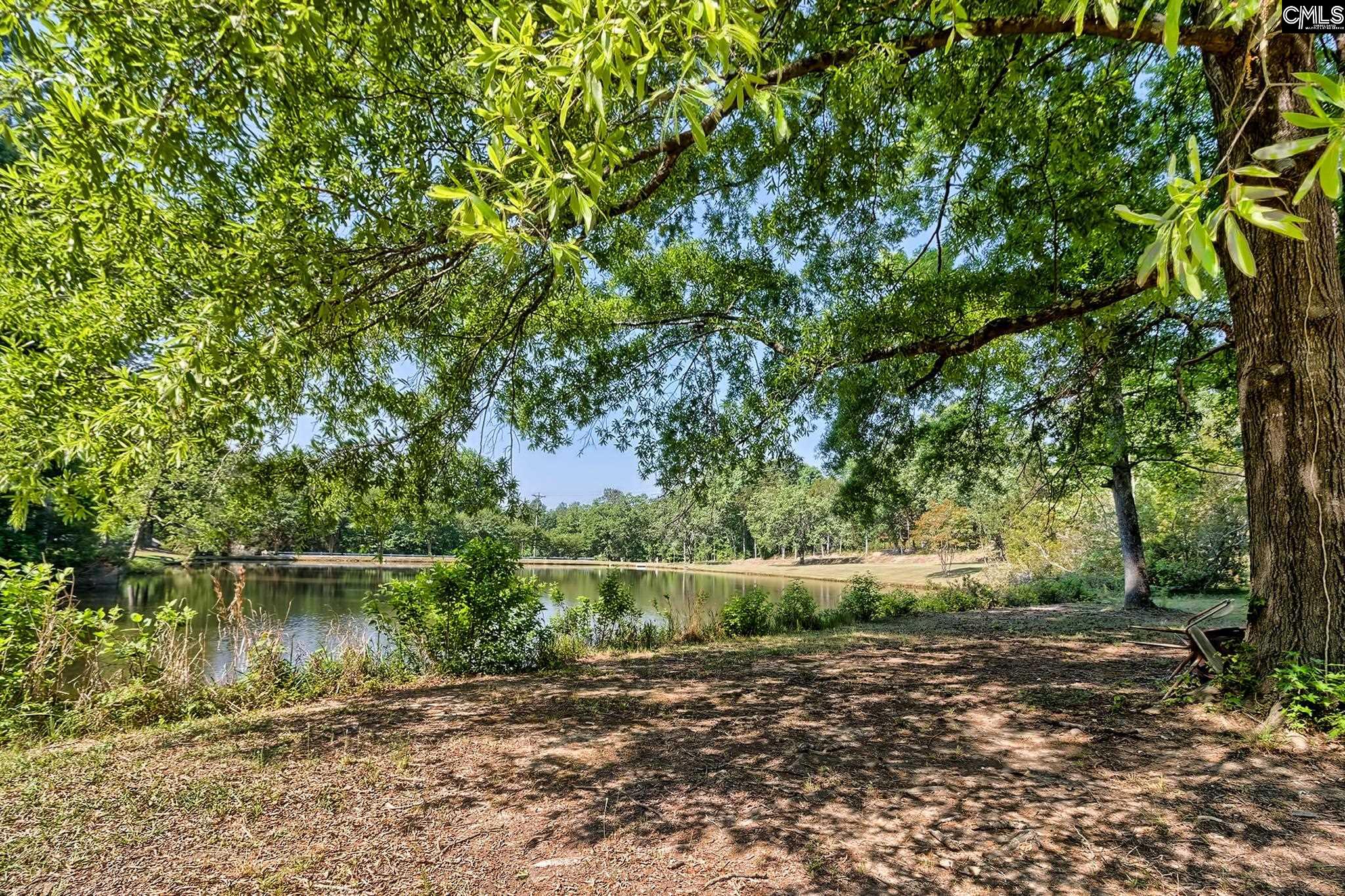 1133 Old Hilton Road Chapin, SC 29036 - Photo 10 of 50
