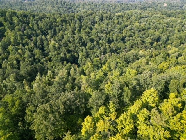 0 Lycans Branch Road Ona, WV 25545 - Photo 11 of 12 Gallery Image 11