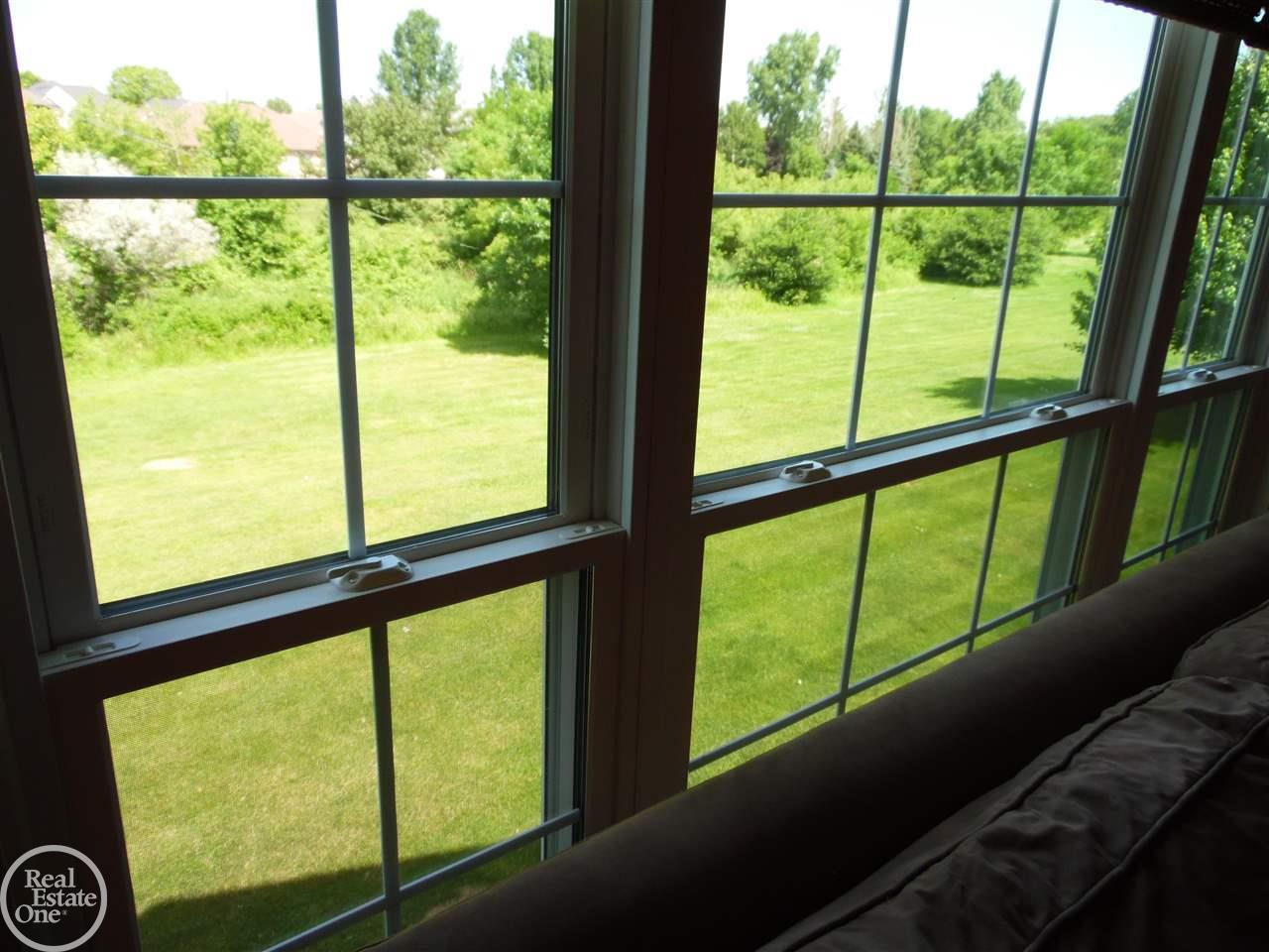 46099 Rhodes Drive Macomb, MI 48044 - Photo 14 of 30 view from living room