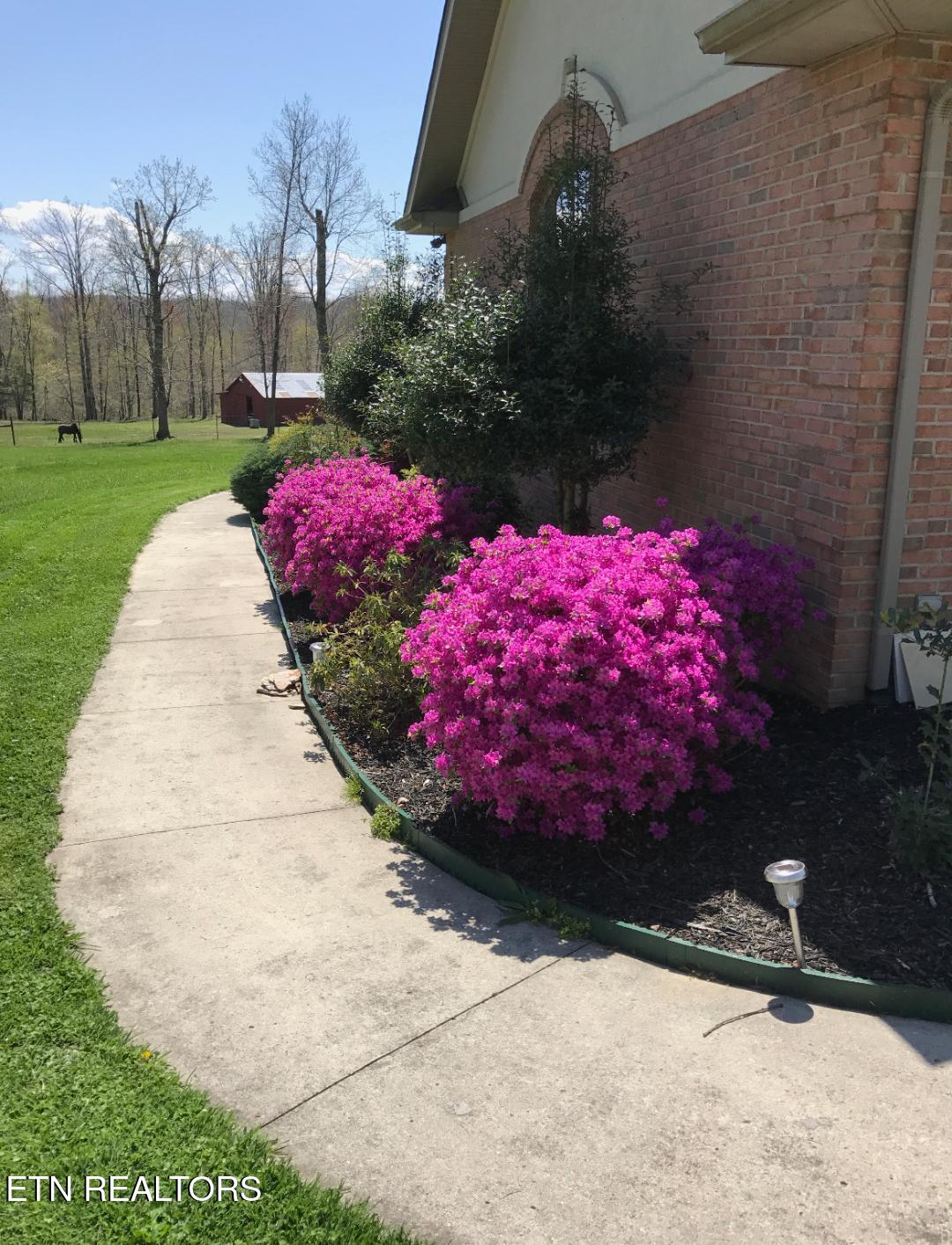207 Drew Howard Road Crossville, TN 38571 - Photo 16 of 42 Garage to front entry