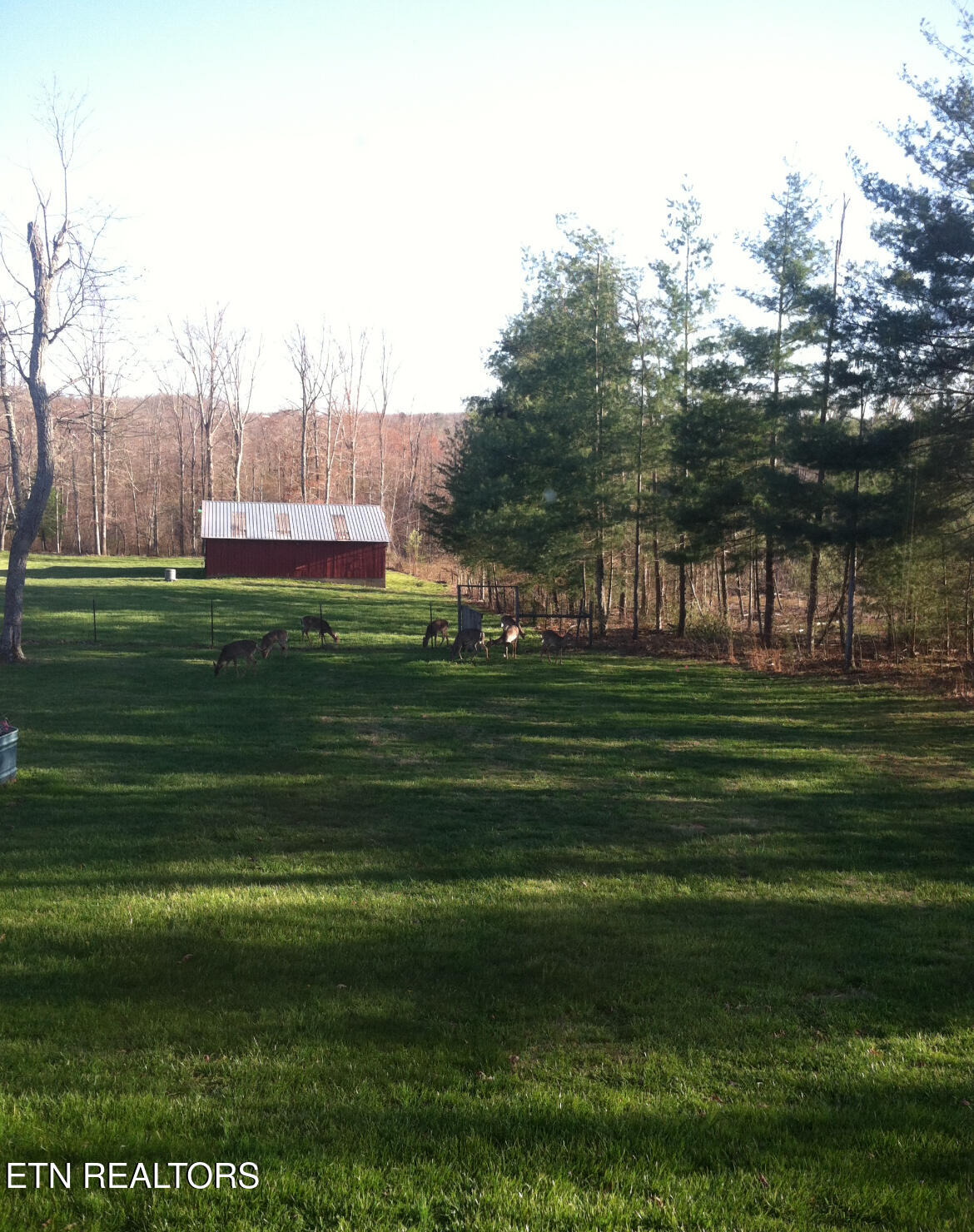 207 Drew Howard Road Crossville, TN 38571 - Photo 34 of 42 Pole barn /stable