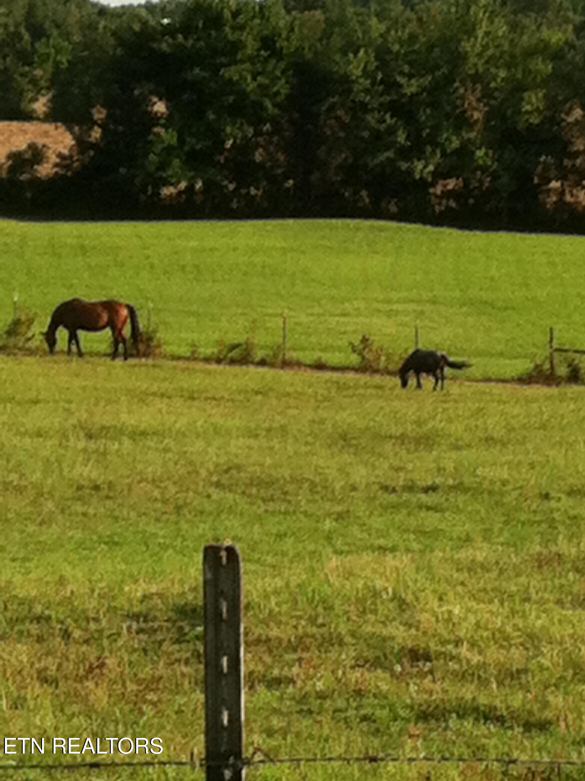 207 Drew Howard Road Crossville, TN 38571 - Photo 36 of 42 Pole barn /stable