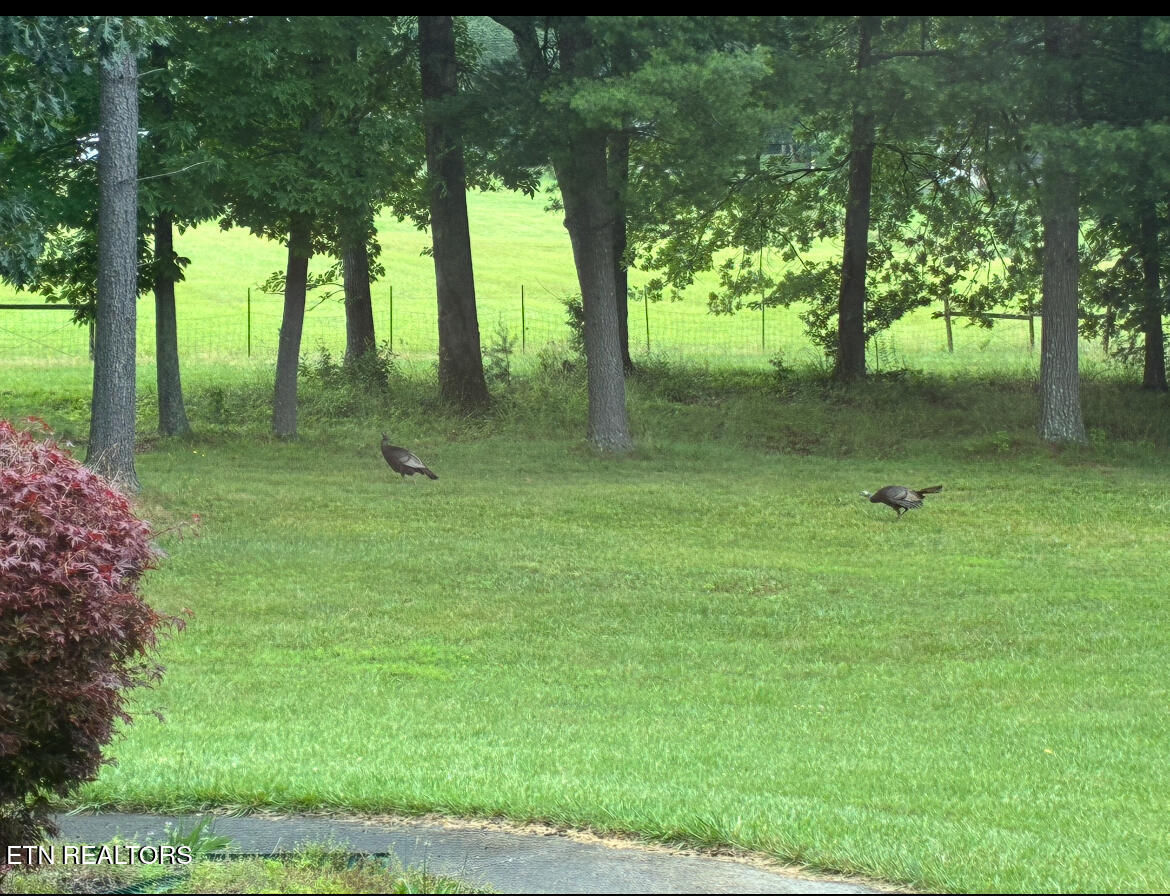 207 Drew Howard Road Crossville, TN 38571 - Photo 39 of 42 Views