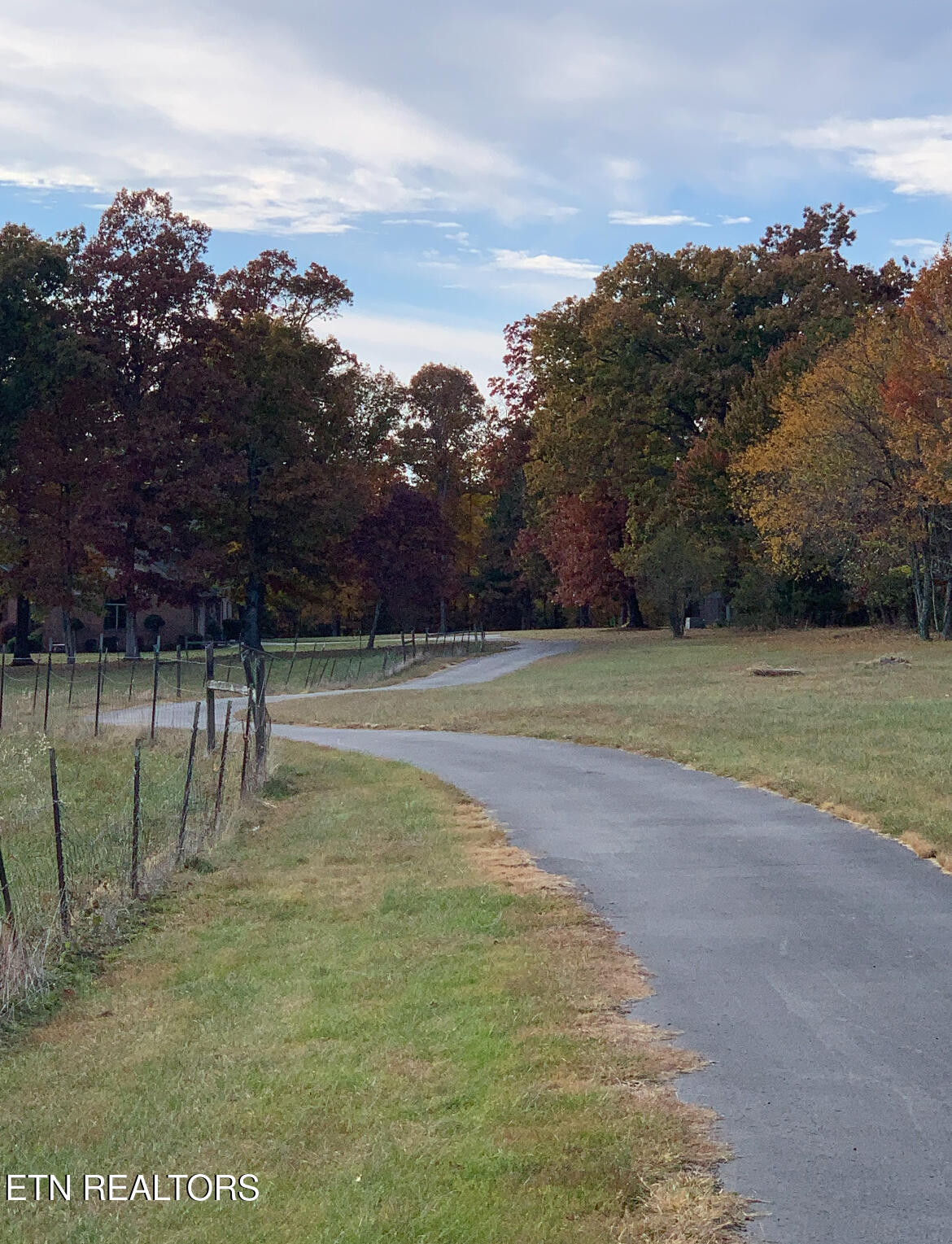 207 Drew Howard Road Crossville, TN 38571 - Photo 6 of 42 Driveway to home