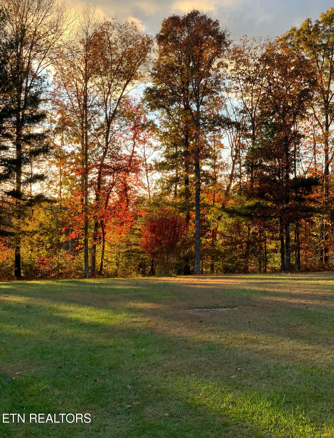 207 Drew Howard Road Crossville, TN 38571 - Photo 7 of 42 Views