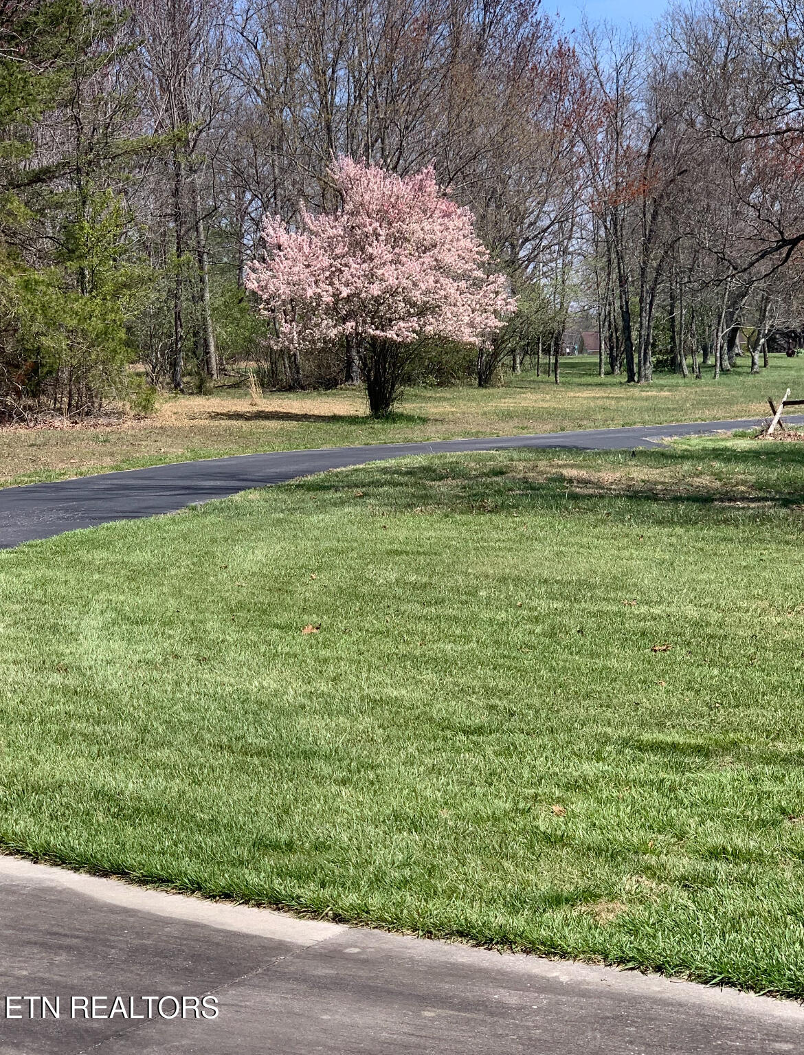 207 Drew Howard Road Crossville, TN 38571 - Photo 9 of 42 Driveway