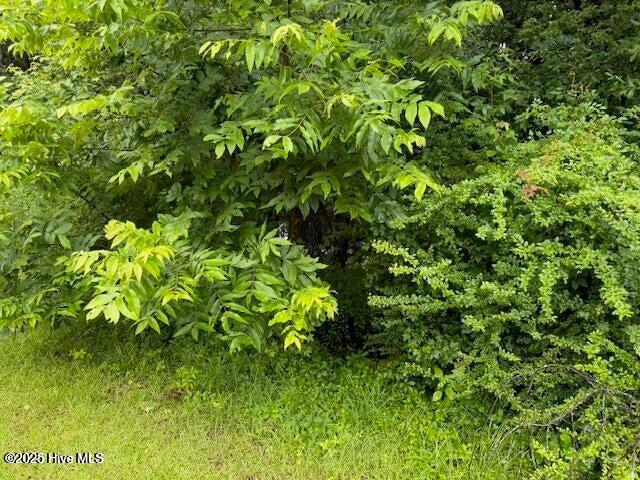 0 Tobes Road Northeast Bolivia, NC 28422 - Photo 2 of 4 20250605174613969522000000-o