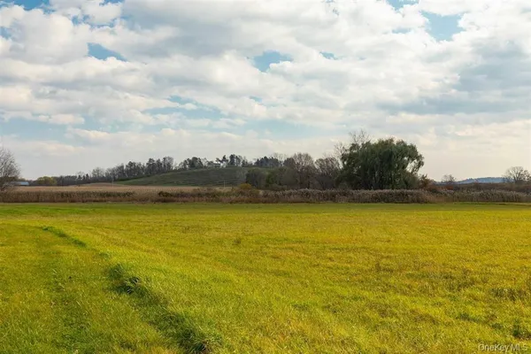 a view of a lake with houses in the background