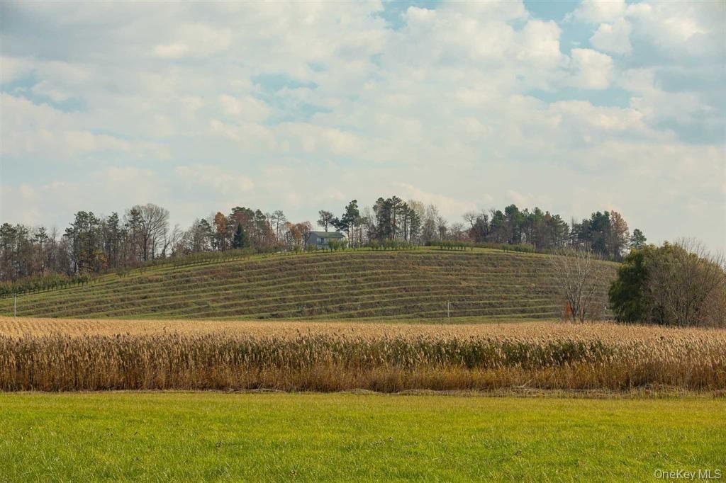 460 Lasher Road Tivoli, NY 12583 - Photo 17 of 36