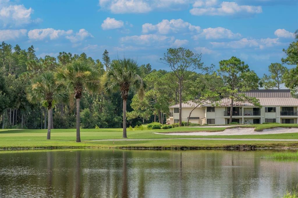 4947 Mill Pond Road, Unit 3104/3106 Wesley Chapel, FL 33543 - Photo 26 of 31