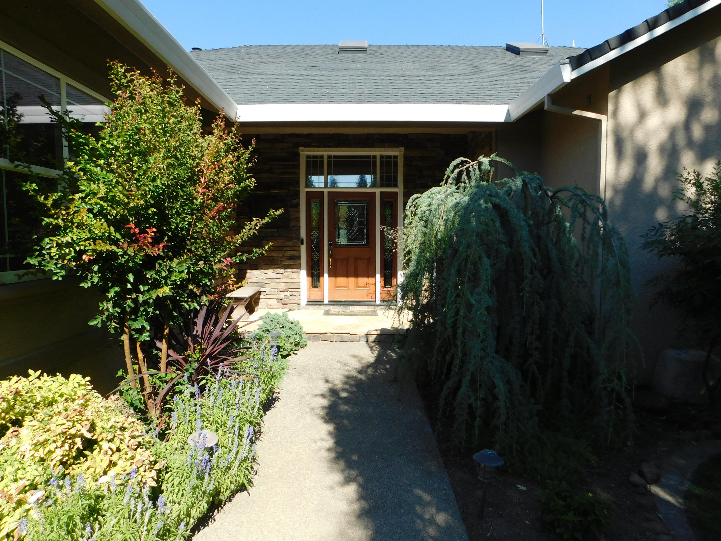 a view of a pathway both side of house