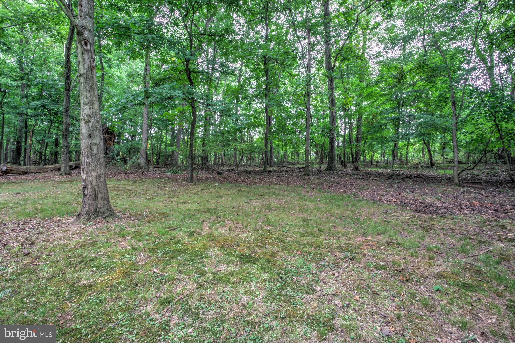 335 Cartref Road Etters, PA 17319 - Photo 9 of 50 Gallery Image 9
