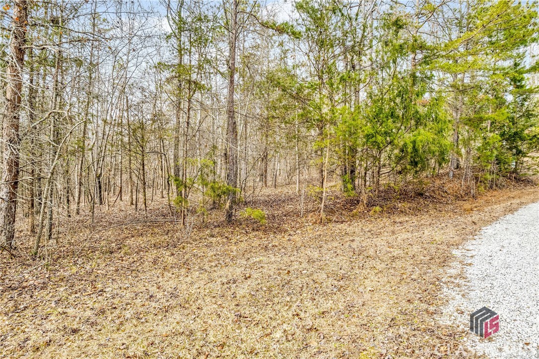 0 Paynes Creek Road, Unit LOT 7 Hartwell, GA 30643 - Photo 12 of 17