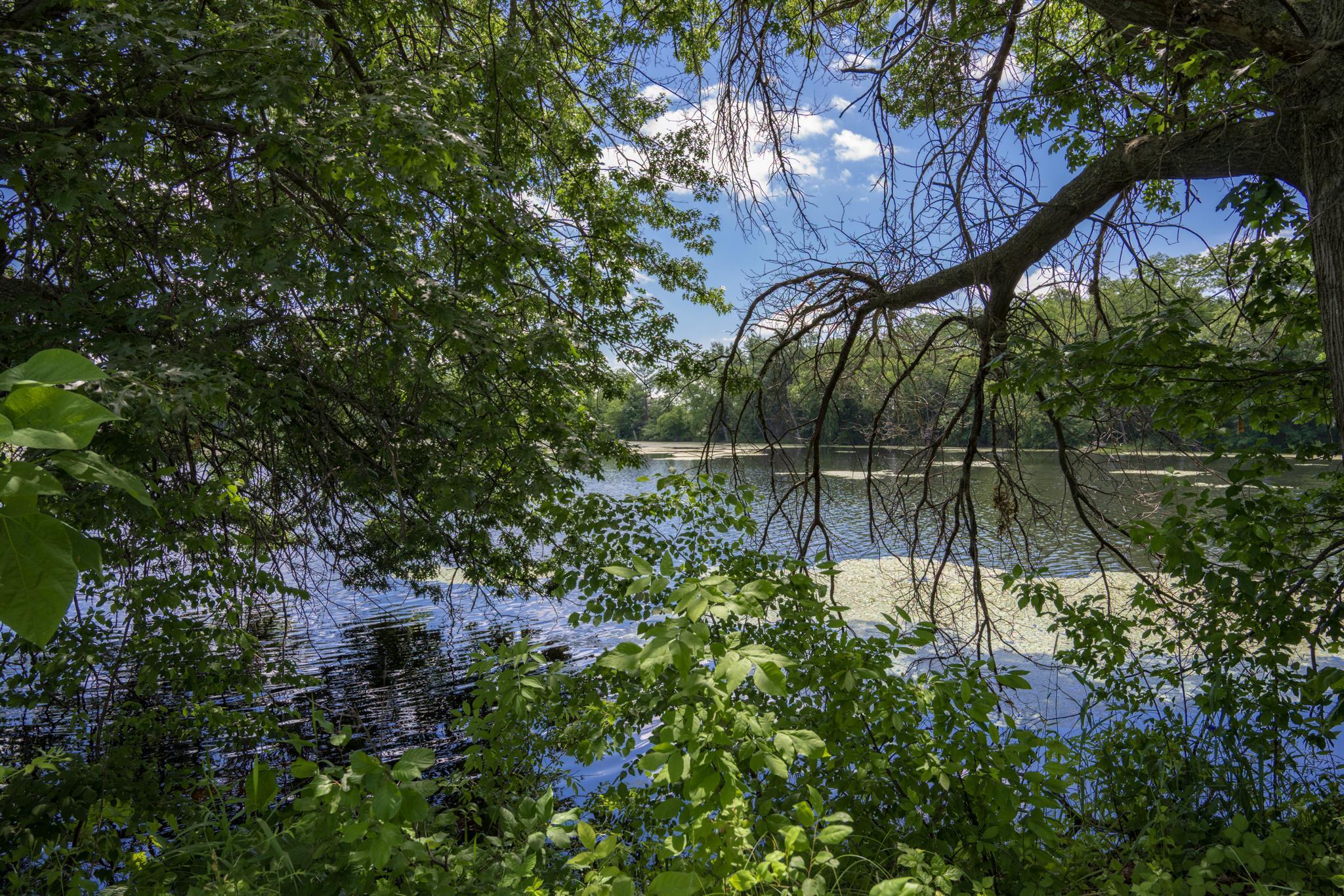 685 Hog Island Road New Lisbon, WI 53950 - Photo 23 of 29