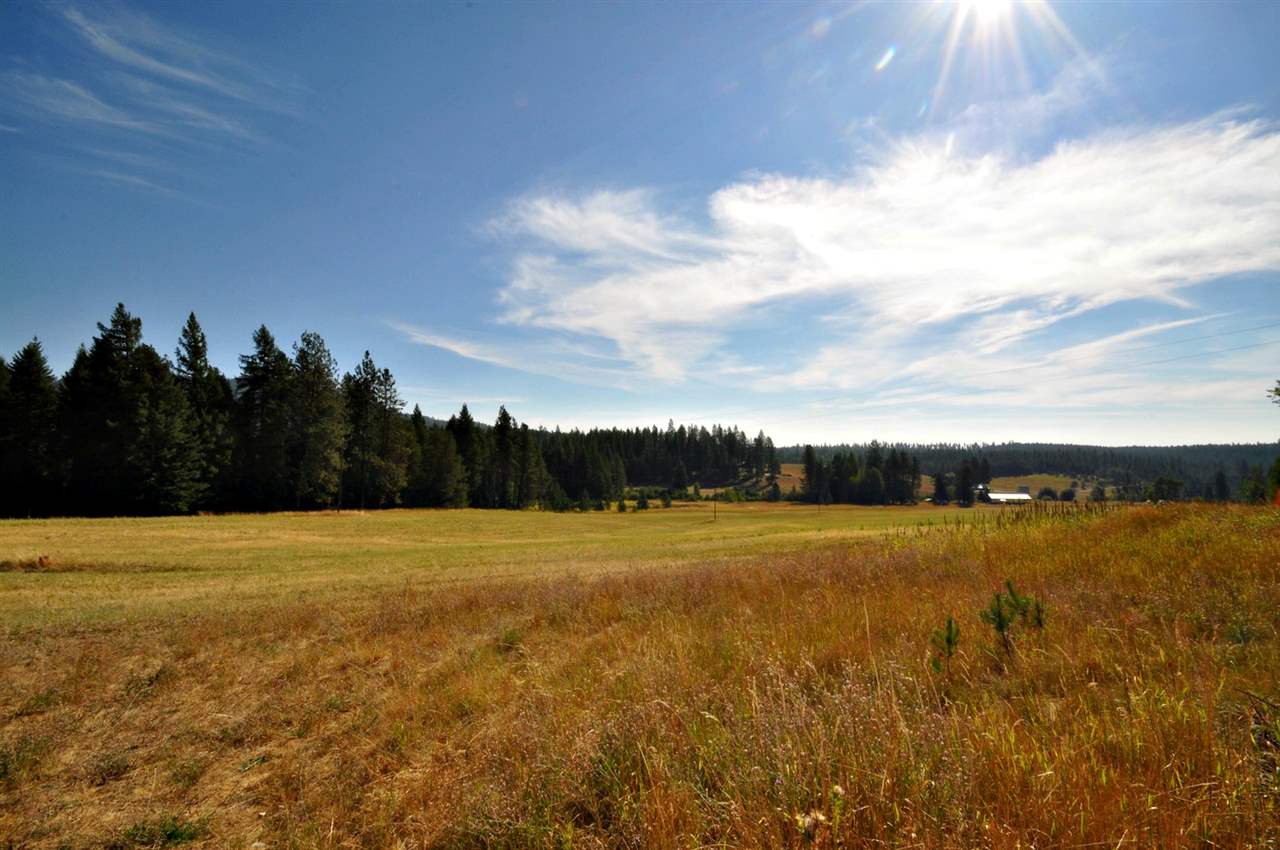 5161 Gennett Road, Unit 5130 A GENNETT RD Springdale, WA 99173 - Photo 19 of 20