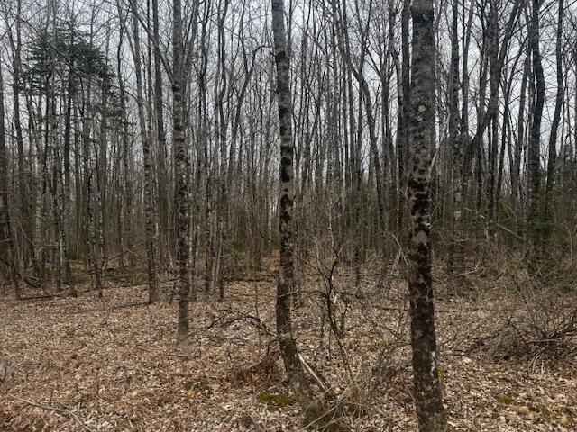 M4-l14 Snakeroot Road Pittsfield, ME 04967 - Photo 2 of 8 IMG_2253