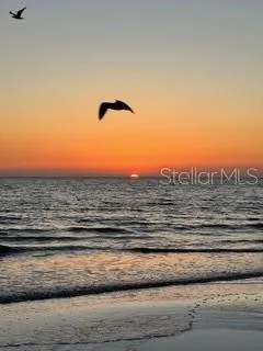 $4,500 | 2942 Tuckerstown Drive, Sarasota, FL 34231