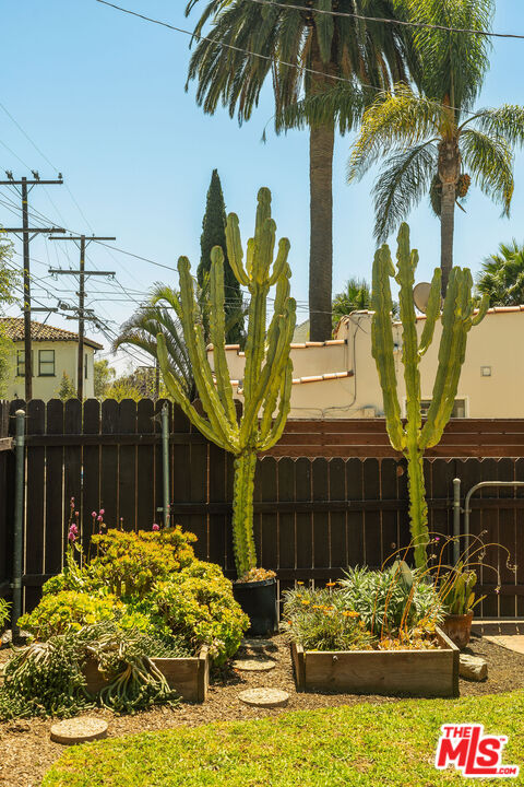 447 9th Street Santa Monica, CA 90402 - Photo 46 of 58 a view of a house with a yard