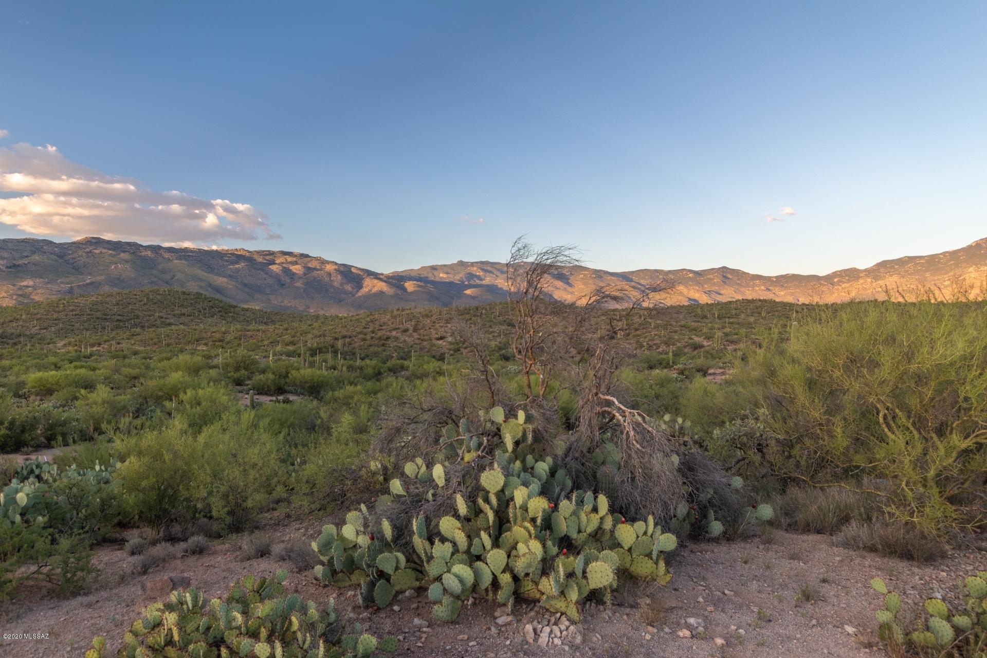 14917 East Diamond Q Ranch Place, Unit 226 Vail, AZ 85641 - Photo 15 of 42