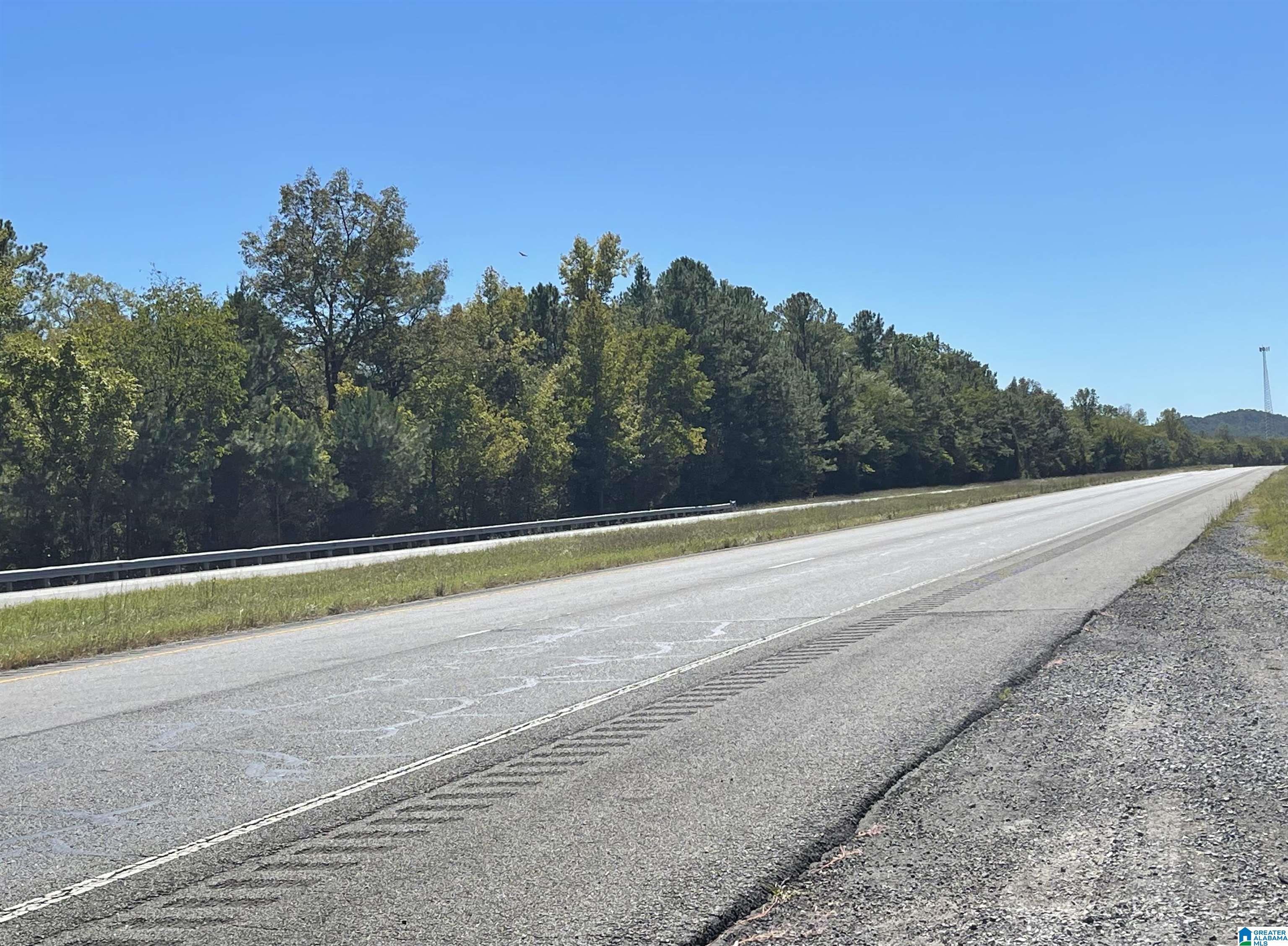 0 Old Highway 75, Unit ACREAGE Oneonta, AL 35121 - Photo 1 of 3