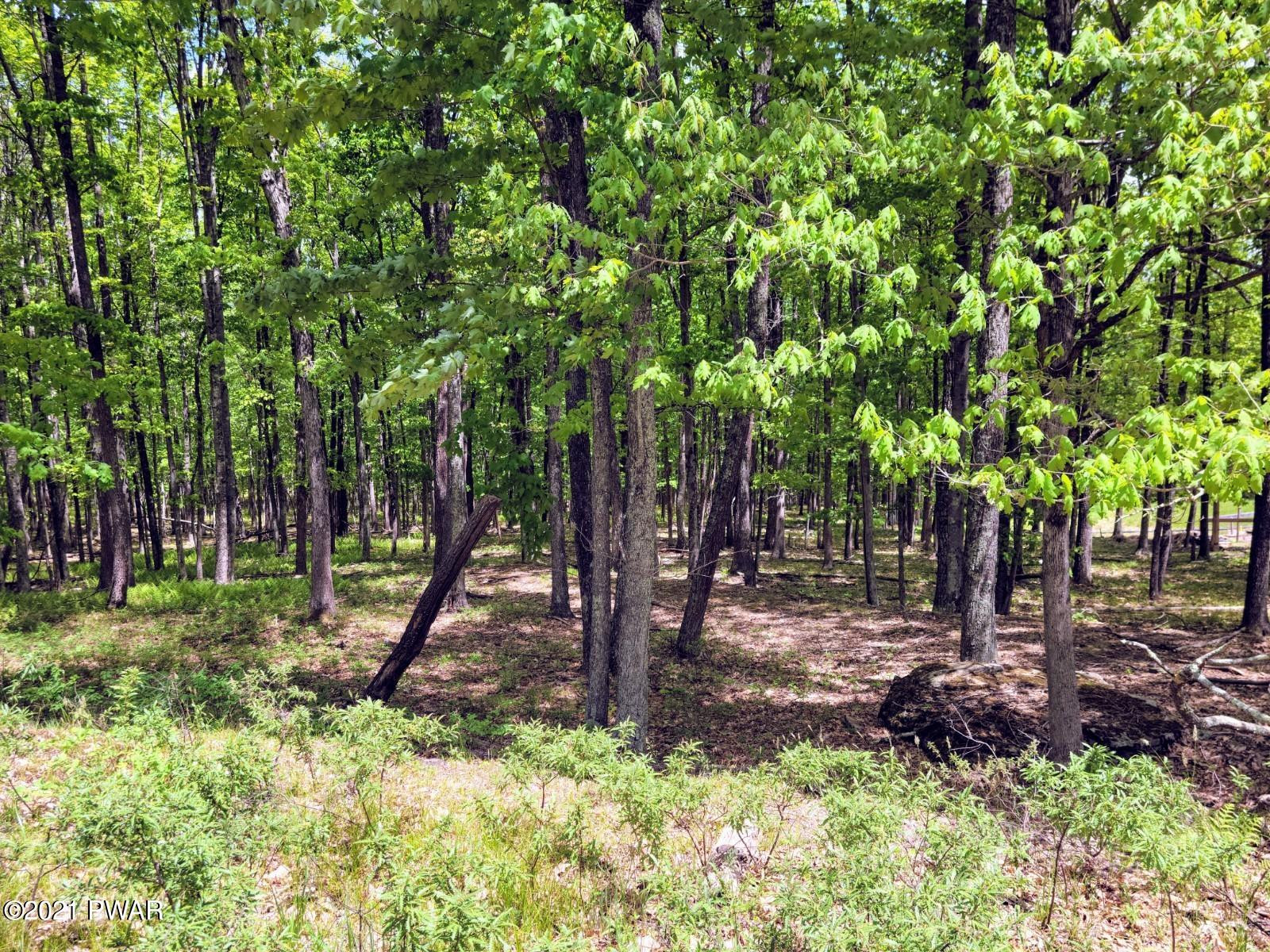Lot 57 Deer Run Road Hawley, PA 18428 - Photo 2 of 6